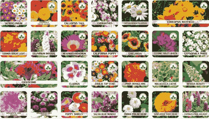 Buy Varieties of Flower Seeds (Pack of 100)