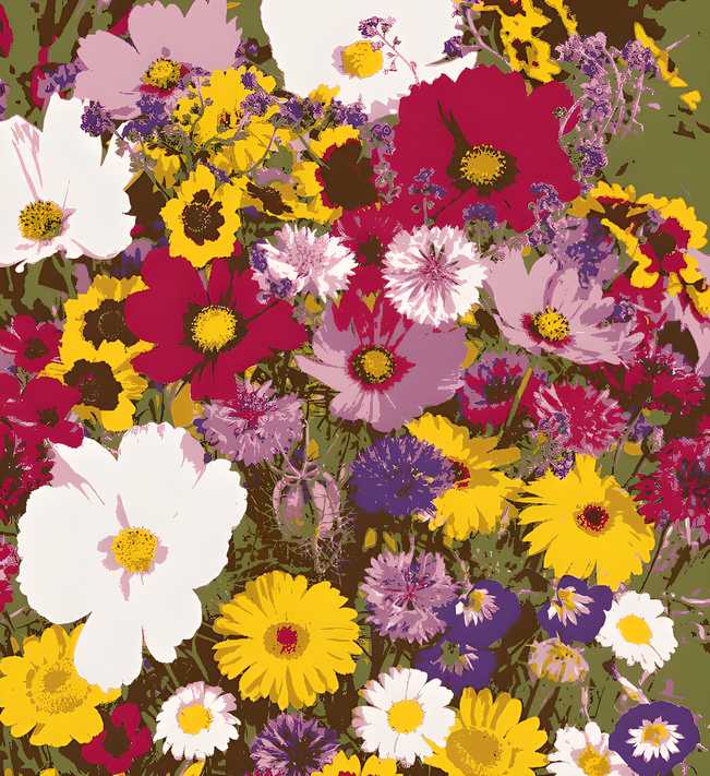 Buy Varieties of Flower Seeds (Pack of 100)